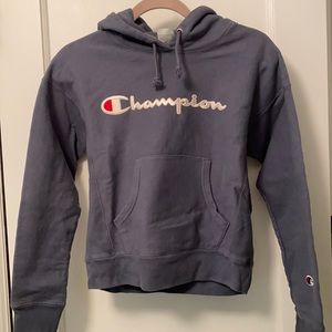 NEW without tags Blue Champion Hoodie Sweatshirt
